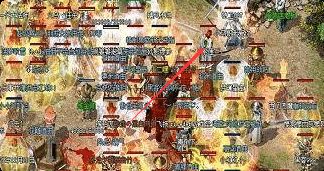 大陆属性不会搭？这份超变地域指南带你少走弯路