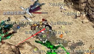 别再盲目跑图！沉默版本宠物与秘境这样搭，效率直接翻倍